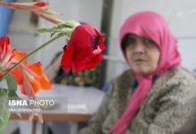 d8aad986d987d8a7db8cdb8c d988 d8a7d986d8b2d988d8a7 d8a8d8b2d8b1daafd8aad8b1db8cd986 d8afd8bad8afd8bad987 d8b3d8a7d984d985d986 69243ecf6335f