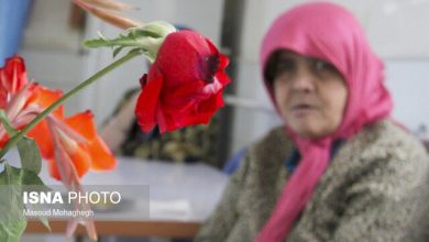 d8aad986d987d8a7db8cdb8c d988 d8a7d986d8b2d988d8a7 d8a8d8b2d8b1daafd8aad8b1db8cd986 d8afd8bad8afd8bad987 d8b3d8a7d984d985d986 69243ecf6335f