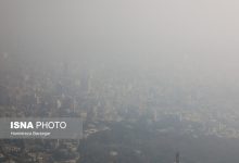 d8aad987d8b1d8a7d986 d8b2db8cd8b1 d8b3d982d981 d8a2d984d988d8afdaafdb8c 6925dcf4be440