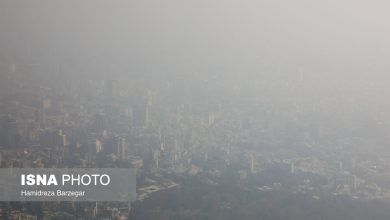 d8aad987d8b1d8a7d986 d8b2db8cd8b1 d8b3d982d981 d8a2d984d988d8afdaafdb8c 6925dcf4be440