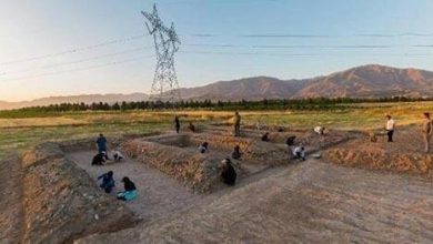 d8aad9bed987 d8add8a7d8ac d8a8daa9d8aad8a7d8b4 d988d984db8cd88c d986d985d8a7d8afdb8c d8a7d8b2 d8aad8a7d8b1db8cd8ae d988 d981d8b1d987d986 69269cfe75452