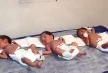 d8abd8a8d8aa d8a8db8cd8b4 d8a7d8b2 dbb1dbb1 d987d8b2d8a7d8b1 d988d8a7d982d8b9d987 d988d984d8a7d8afd8aa da86d986d8af d982d984d988d8b2d8a7 692374965ab1a