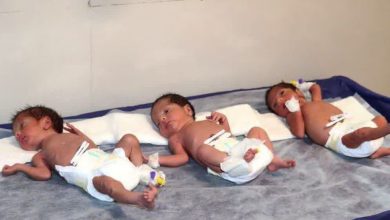 d8abd8a8d8aa d8a8db8cd8b4 d8a7d8b2 dbb1dbb1 d987d8b2d8a7d8b1 d988d8a7d982d8b9d987 d988d984d8a7d8afd8aa da86d986d8af d982d984d988d8b2d8a7 692374965ab1a