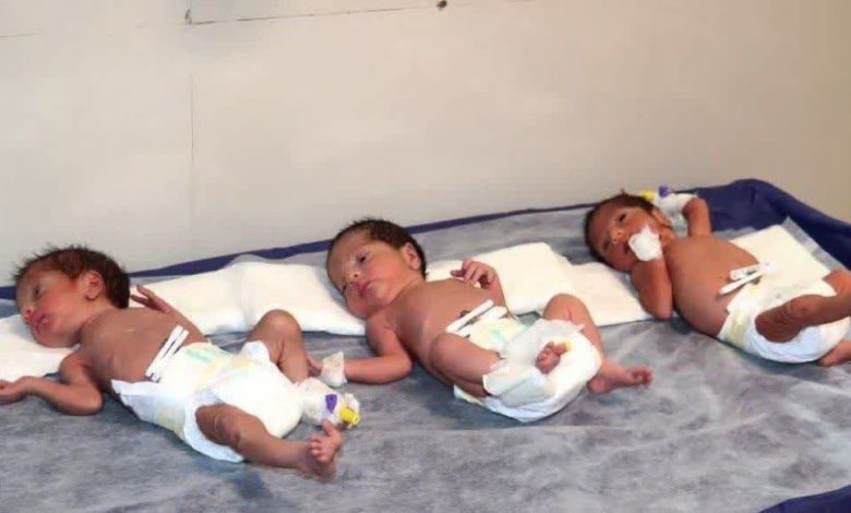 ثبت بیش از ۱۱ هزار واقعه ولادت چند قلوزایی طی امسال 1 d8abd8a8d8aa d8a8db8cd8b4 d8a7d8b2 dbb1dbb1 d987d8b2d8a7d8b1 d988d8a7d982d8b9d987 d988d984d8a7d8afd8aa da86d986d8af d982d984d988d8b2d8a7 692374965ab1a