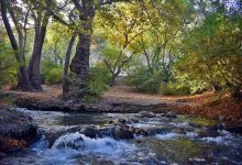 d8abd8a8d8aa d8acd987d8a7d986db8c d8b3d8b1d8a7d8a8d987d8a7db8c d986d987d8a7d988d986d8afd88c d981d8b1d8a2db8cd986d8afdb8c d9bedb8c 6926ecd991cda