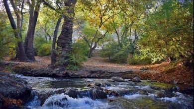 d8abd8a8d8aa d8acd987d8a7d986db8c d8b3d8b1d8a7d8a8d987d8a7db8c d986d987d8a7d988d986d8afd88c d981d8b1d8a2db8cd986d8afdb8c d9bedb8c 6926ecd991cda