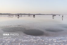 d8acd8b0d8a8 d8b3d8b1d985d8a7db8cd987daafd8b0d8a7d8b1 d988 d8b1d981d8b9 d985d988d8a7d986d8b9 d8aad988d984db8cd8af d8a8d8b1 d8a7 692707ba31d5b