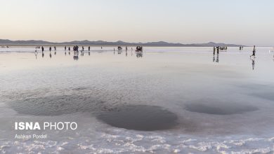 جذب سرمایهگذار و رفع موانع تولید بر اشتغال پایدار تأثیر میگذارد 8 d8acd8b0d8a8 d8b3d8b1d985d8a7db8cd987daafd8b0d8a7d8b1 d988 d8b1d981d8b9 d985d988d8a7d986d8b9 d8aad988d984db8cd8af d8a8d8b1 d8a7 692707ba31d5b