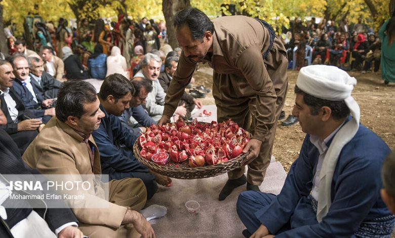 d8acd8b4d986 d8a7d986d8a7d8b1 dbb2dbb9 d8a2d8a8d8a7d986 d8afd8b1 d8b1d988d8b3d8aad8a7db8c d8b3d8a7d8aadb8cd8a7d8b1db8c d9bed8a7 691287491b7c0