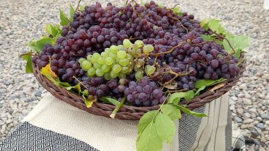 d8acd8b4d986d988d8a7d8b1d987 d8a7d986daafd988d8b1 daa9d986d8afd988d984d987 d8a8d8b1daafd8b2d8a7d8b1 d985db8cd8b4d988d8af 69266f49f1b49