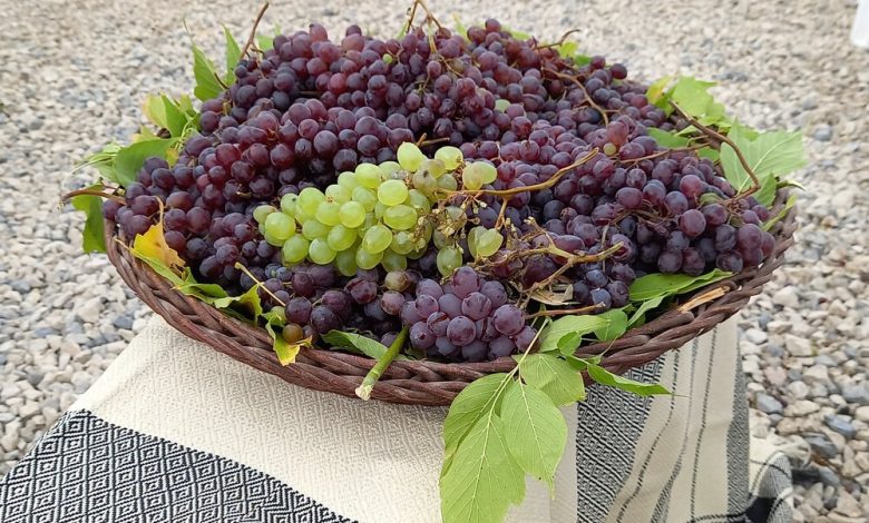 d8acd8b4d986d988d8a7d8b1d987 d8a7d986daafd988d8b1 daa9d986d8afd988d984d987 d8a8d8b1daafd8b2d8a7d8b1 d985db8cd8b4d988d8af 69266f49f1b49