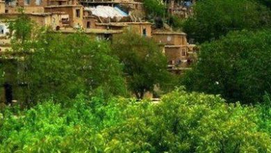 d8add8b0d981 d985d8a7d8b3d988d984d987 d8bad8b1d8a8 daa9d8b4d988d8b1 d8a7d8b2 d984db8cd8b3d8aa d8b1d988d8b3d8aad8a7d987d8a7db8c d987d8af 6926abc453e43