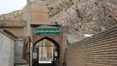 d8add988d8b2d987 daafd8b1d8afd8b4daafd8b1db8c d8aed8afd8a7d8a8d986d8afd987 d986db8cd8a7d8b2d985d986d8af d8aad988d8acd987 d8acd8afdb8c 69269f6e0bf9e