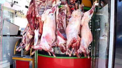 d8afd8b1 d8a7db8cd986 d8b4d987d8b1 d8a7db8cd8b1d8a7d986 d987d985d987 d982d8b5d8a7d8a8d8a7d986d8af 6927069a213e4