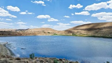 d8afd8b1db8cd8a7da86d987 d8a8d8b2d986daafd8a7d986 d982d8a7d8a8d984db8cd8aa d8aad8a8d8afdb8cd984 d8a8d987 db8cdaa9 d985d982d8b5 6926e96568c77