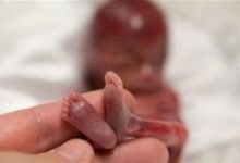 d8afd984d8a7db8cd984 d8a7d8b5d984db8c d8b3d982d8b7d987d8a7db8c d8b9d985d8afdb8c d8add8afd988d8af dbb3dbb0 d8afd8b1 6923a45e2855f