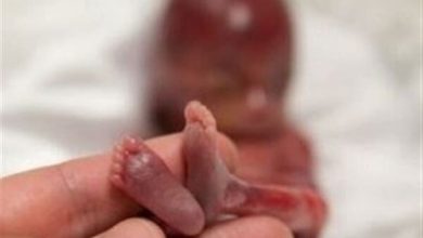 d8afd984d8a7db8cd984 d8a7d8b5d984db8c d8b3d982d8b7d987d8a7db8c d8b9d985d8afdb8c d8add8afd988d8af dbb3dbb0 d8afd8b1 6923a45e2855f