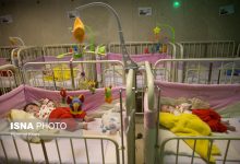 d8b1d8a7d987daa9d8a7d8b1d987d8a7db8c d8a8d987d8b2db8cd8b3d8aadb8c d8a8d8b1d8a7db8c d985d8add8b1d985db8cd8aa d981d8b1d8b2d986d8afd8ae 69237152af456