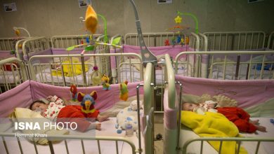 d8b1d8a7d987daa9d8a7d8b1d987d8a7db8c d8a8d987d8b2db8cd8b3d8aadb8c d8a8d8b1d8a7db8c d985d8add8b1d985db8cd8aa d981d8b1d8b2d986d8afd8ae 69237152af456