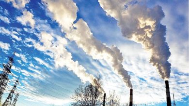 d8b1d8af d9bed8a7db8c d985d8b5d8b1d981 d8b3d988d8aed8aa d9bed8b1daafd988daafd8b1d8af d8afd8b1 d8a2d984d988d8afdaafdb8c daa9d985 692c0487f2877