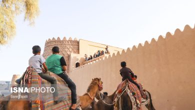 d8b1d988d8b3d8aad8a7db8c d8b4d981db8cd8b9d8a2d8a8d8a7d8af d8b4d987d8afd8a7d8af d8afd8b1 d985d8b3db8cd8b1 d8abd8a8d8aa d8afd8b1 69269b343e260