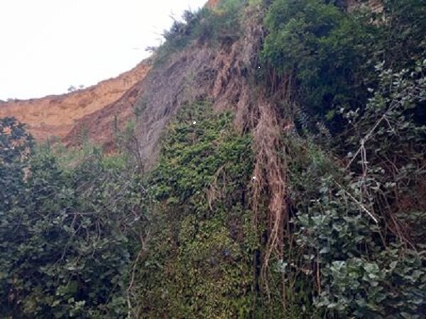 روستای عباسآباد، نگین پنهان گردشگری در دل درهشهر 2 روستای عباسآباد، نگین پنهان گردشگری در دل درهشهر