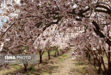 d8b1d988db8cd8b4 d8b4daa9d988d981d987d987d8a7db8c d8a8d987d8a7d8b1db8c d8afd8b1 d8b4d987d8b1d8b3d8aad8a7d986 d8b3d8a7d985d8a7d986 6926cfc4ab75b