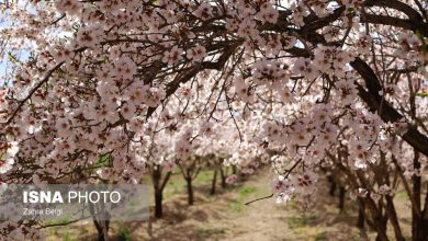 d8b1d988db8cd8b4 d8b4daa9d988d981d987d987d8a7db8c d8a8d987d8a7d8b1db8c d8afd8b1 d8b4d987d8b1d8b3d8aad8a7d986 d8b3d8a7d985d8a7d986 6926cfc4ab75b