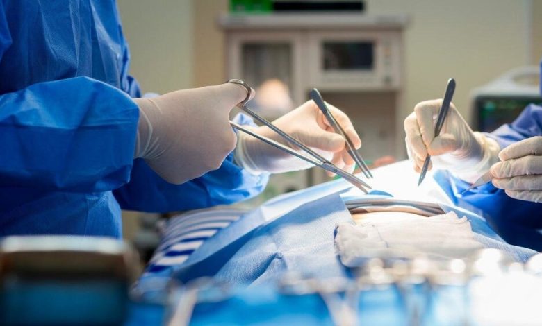 رکورد جراحی ترمیمی رایگان در مشهد شکست / ۲۶ عمل جراحی در یک روز 1 d8b1daa9d988d8b1d8af d8acd8b1d8a7d8addb8c d8aad8b1d985db8cd985db8c d8b1d8a7db8cdaafd8a7d986 d8afd8b1 d985d8b4d987d8af d8b4daa9d8b3d8aa 69239fc78aa3d