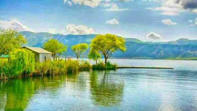 d8b2d8b1db8cd8a8d8a7d8b1d88c d986daafdb8cd986 d981db8cd8b1d988d8b2d987d8a7db8c daa9d8b1d8afd8b3d8aad8a7d986 d988 d985d8b1d988d8a7 6926e14ae608c