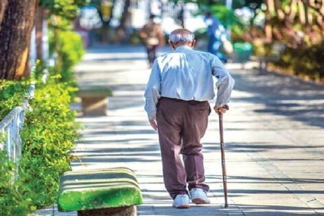 d8b3d8a7d984d985d986d8afd8a7d986 d988 d985d988d8ac daafd8b1d985d8a7d89b d985d8b1d8b2 d8a8d8a7d8b1db8cdaa9 d8a8db8cd986 d8b3d984d8a7d985 69244e1186316