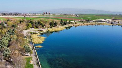 d8b3d8b1d8a7d8a8 d985d988d8b1d8aa d8a8d987 d982d8b7d8a8 daafd8b1d8afd8b4daafd8b1db8c d8bad8b1d8a8 d8a7d8b3d8aad8a7d986 d8aad8a8 692694a35eedf