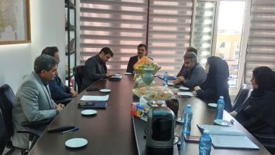 d8b3d8b1d9bed8b1d8b3d8aa d985db8cd8b1d8a7d8abd981d8b1d987d986daafdb8c daa9d8b1d8afd8b3d8aad8a7d986 d8b8d8b1d981db8cd8aa 6907fafd0f117