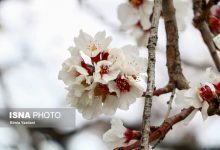 d8b3d981d8b1db8c d8a8d987 d8b4d987d8b1d8b3d8aad8a7d986 d8b3d8a7d985d8a7d986d89b d8b3d8b1d8b2d985db8cd986 d8b4daa9d988d981d987d987 6926dcdbd10f9