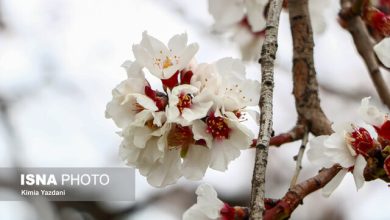 d8b3d981d8b1db8c d8a8d987 d8b4d987d8b1d8b3d8aad8a7d986 d8b3d8a7d985d8a7d986d89b d8b3d8b1d8b2d985db8cd986 d8b4daa9d988d981d987d987 6926dcdbd10f9