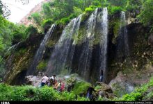 d8b3d984db8cd982d987 daafd8b1d8afd8b4daafd8b1d8a7d986 d8a8d987 d8a7daa9d988d8aad988d8b1db8cd8b3d985 d8aad8badb8cdb8cd8b1 db8cd8a7d981 6927088f98c98