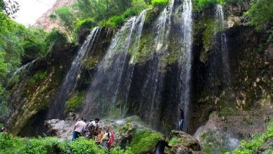 سلیقه گردشگران به اکوتوریسم تغییر یافته است 4 d8b3d984db8cd982d987 daafd8b1d8afd8b4daafd8b1d8a7d986 d8a8d987 d8a7daa9d988d8aad988d8b1db8cd8b3d985 d8aad8badb8cdb8cd8b1 db8cd8a7d981 6927088f98c98