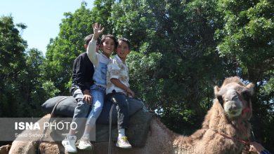 سه رویداد گردشگری در تیران برگزار میشود 5 d8b3d987 d8b1d988db8cd8afd8a7d8af daafd8b1d8afd8b4daafd8b1db8c d8afd8b1 d8aadb8cd8b1d8a7d986 d8a8d8b1daafd8b2d8a7d8b1 d985db8c 692689b84c72d