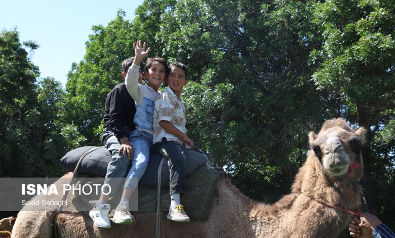 d8b3d987 d8b1d988db8cd8afd8a7d8af daafd8b1d8afd8b4daafd8b1db8c d8afd8b1 d8aadb8cd8b1d8a7d986 d8a8d8b1daafd8b2d8a7d8b1 d985db8c 692689b84c72d