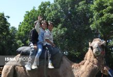 d8b3d987 d8b1d988db8cd8afd8a7d8af daafd8b1d8afd8b4daafd8b1db8c d8afd8b1 d8aadb8cd8b1d8a7d986 d8a8d8b1daafd8b2d8a7d8b1 d985db8c 692689b8763c9