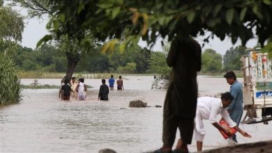 d8b3db8cd984d987d8a7db8c d985d8b1daafd8a8d8a7d8b1 d8afd8b1 d9bed8a7daa9d8b3d8aad8a7d986 d988 d987d8b4d8afd8a7d8b1 d985d987d8a7 6923fc792600e