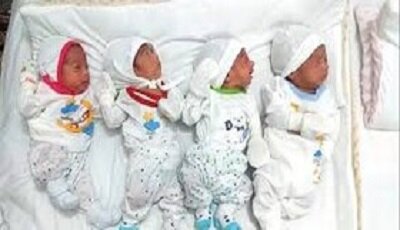 d8b4d8a7d8b1da98 d8add8b3d8a7d8a8 d8b3d8b1d9bed8b1d8b3d8aad8a7d986 d8aed8a7d986d988d8a7d8b1 d8afd8a7d8b1d8a7db8c d985d8a7d8afd8b1 d8a8 69244df9d412b