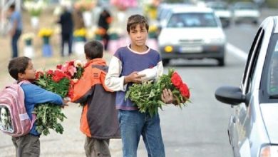 شناسایی و ساماندهی ۴۰۰۰ کودک کار/ ایجاد مجتمعی برای نجات کودکان از خیابان 7 d8b4d986d8a7d8b3d8a7db8cdb8c d988 d8b3d8a7d985d8a7d986d8afd987db8c dbb4dbb0dbb0dbb0 daa9d988d8afdaa9 daa9d8a7d8b1 d8a7db8cd8acd8a7d8af 6924fc8978092