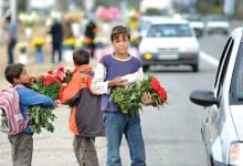 d8b4d986d8a7d8b3d8a7db8cdb8c d988 d8b3d8a7d985d8a7d986d8afd987db8c dbb4dbb0dbb0dbb0 daa9d988d8afdaa9 daa9d8a7d8b1 d8a7db8cd8acd8a7d8af 6924fc89b721e