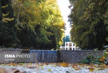 d8b4daa9d988d987 d8a8d8a7d8ba d8a7db8cd8b1d8a7d986db8c d8afd8b1 d8b4d8a7d987d8b2d8a7d8afd987 d985d8a7d987d8a7d986 d8aad984d8a7d982db8c 6926b1d6880d8