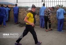 d8b4db8cd8a8 d986d8b2d988d984db8c d8a7d8a8d8aad984d8a7 d8a8d987 d8a7db8cd8afd8b2 d988 d987d9bed8a7d8aadb8cd8aa d8b9d985d8afd987 d8af 69231590e2183