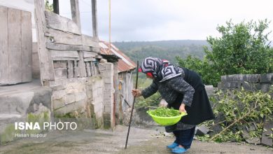 d8b4db8cd988d8b9 d8a8d8a7d984d8a7db8c d8b3d8a7d984d985d986d8af d8a2d8b2d8a7d8b1db8c d987d8b4d8afd8a7d8b1d89b d8b3d988d8a1d8a8 692a990838f49