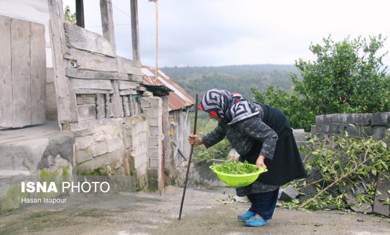 d8b4db8cd988d8b9 d8a8d8a7d984d8a7db8c d8b3d8a7d984d985d986d8af d8a2d8b2d8a7d8b1db8c d987d8b4d8afd8a7d8b1d89b d8b3d988d8a1d8a8 692a990838f49