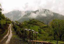 d8b5d8afd988d8b1 dbb3dbb0 d985d988d8a7d981d982d8aa d8a7d8b5d988d984db8c d8aad8a3d8b3db8cd8b3d8a7d8aa daafd8b1d8afd8b4daafd8b1db8c d8af 6926ec3031a43