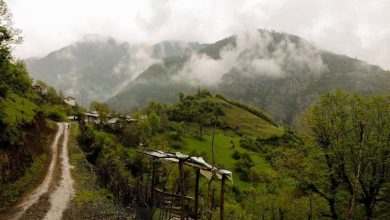 صدور ۳۰ موافقت اصولی تأسیسات گردشگری در گیلان 6 d8b5d8afd988d8b1 dbb3dbb0 d985d988d8a7d981d982d8aa d8a7d8b5d988d984db8c d8aad8a3d8b3db8cd8b3d8a7d8aa daafd8b1d8afd8b4daafd8b1db8c d8af 6926ec3031a43